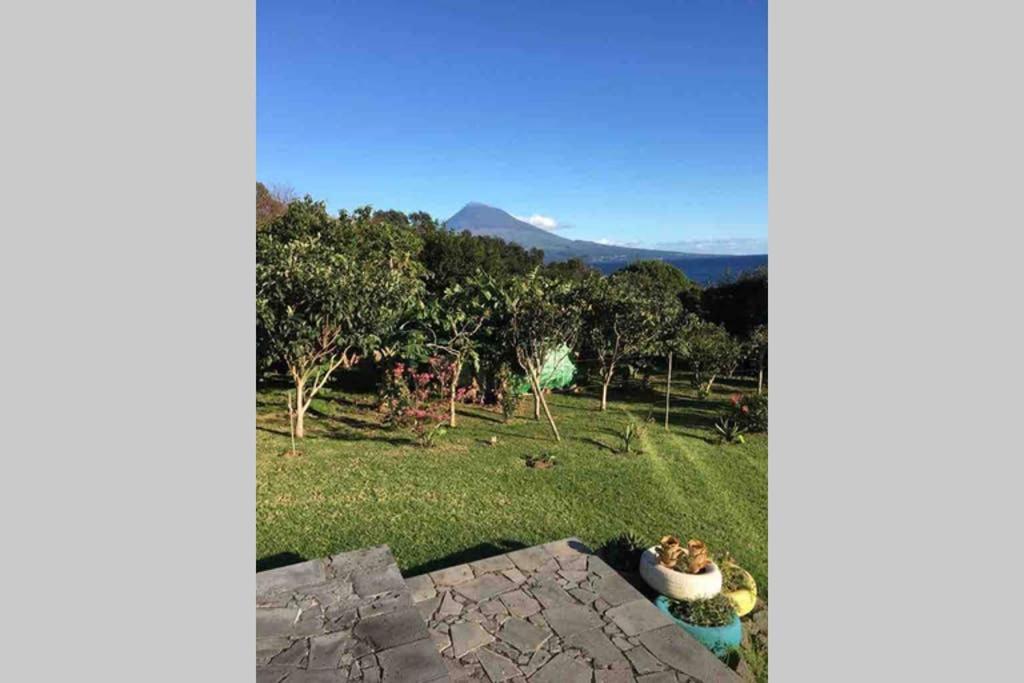 Summer House With Bbq And Garden أورتا المظهر الخارجي الصورة